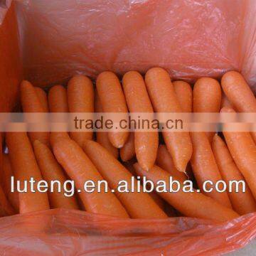 2013 crop high quality carrot from chinese exporter