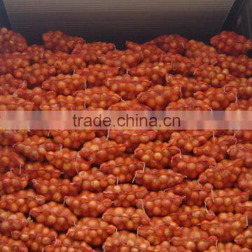 farm yellow onion from china