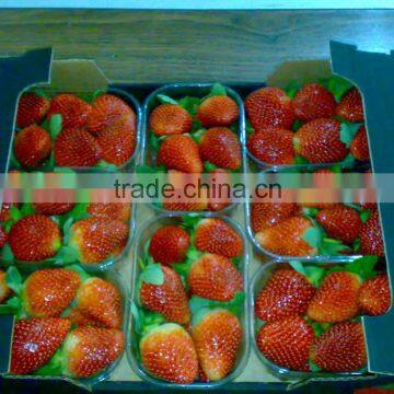 Fresh Strawberry