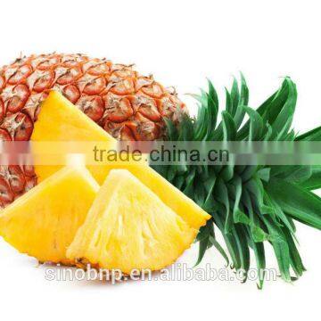 Sells Top Quality and 100% natural pure natural pineapple extract bromelain powder