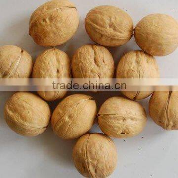 walnut