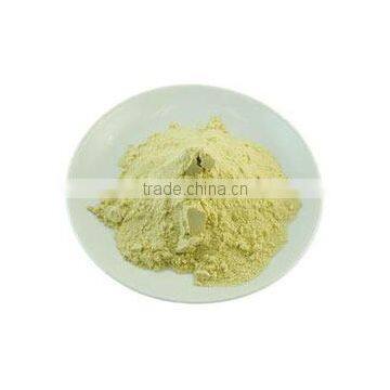 Spray dried Guava Powder