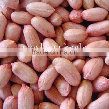 2012 crop good quality Chinese groundnut kernels long shape