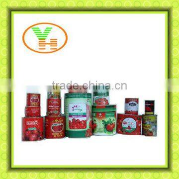 Tomato Paste Processing Plant Gino Tomato Paste Price
