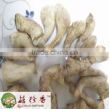 Henan shiitake mushroom, white , dried ,fleshiness, natural, mushroom spawn