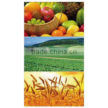 High Water Solubility Fulvic Acid Powder photo-4