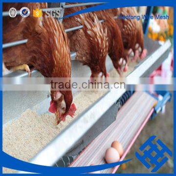 Hot new products for 2015 plastic poultry transport cage