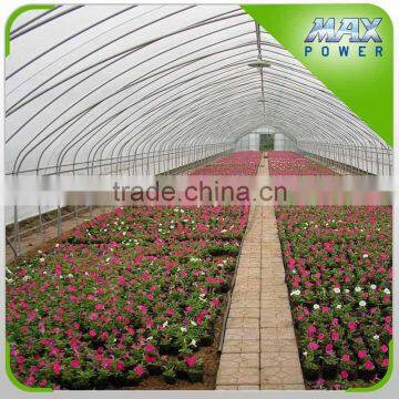 High Quality Cheap Galvanized Steel Tube Frame Tunnel Greenhouse