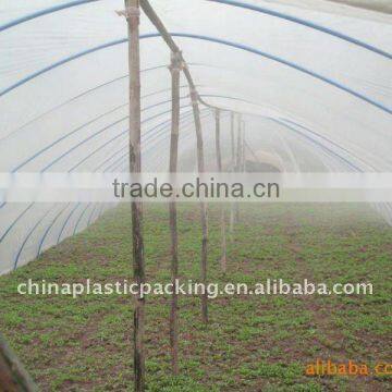UV Agricultural Greenhouse Plastic Mulch Film photo-4