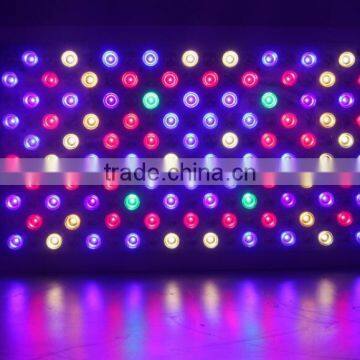 Lightess Led Lights Grow Light 1000w Double Chips Growing Lighting Full Specturm for Greenhouse and Indoor Plant Flowering photo-5