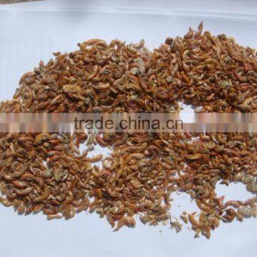 Microwave Dried Gammarus for Pet (dragon Fish ,turtle,hamster);Pet Food Dried Gammarus