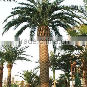Top Fake Fiber Glass Palm Tree Indoor and Outdoor Decoration Artificial Outdoor Palm Trees photo-6