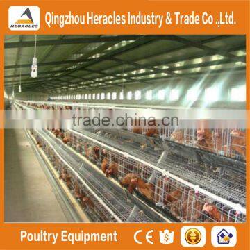 Shandong Heracles Trade Assurance Equipment Poultry A Type Laying Hen Cages for Sale photo-4