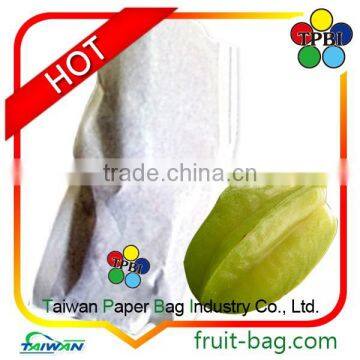 TPBI covering protection paper bag growing bag carambola star fruit