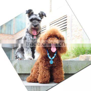 RH1911H Dog Necklace Round Bone Brand Pet Necklace With Dog Tag photo-6