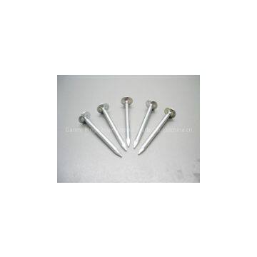 Roofing Nail of BWG 9/10/11/12