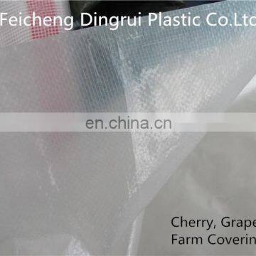 1.75m x12m chile cherry farm orchard roof rain covering, HDPE transparent lona