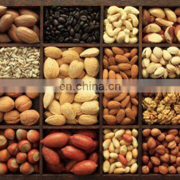 High Capacity Gas Peanut Roasting Machine /rotary Drum Nut Roaster/coffee Roasters for Sale photo-6