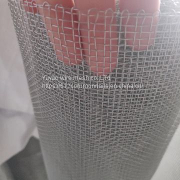 high quality electro galvanized square wire mesh netting on sale