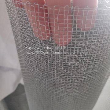 High Quality Electro Galvanized Square Wire Mesh Netting on Sale