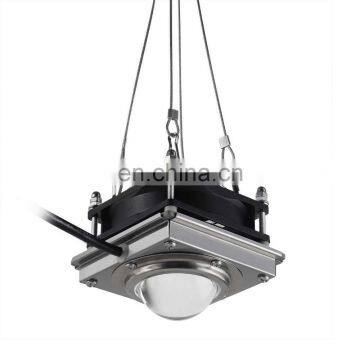 300W COB LED Plant Growth Lamp For Indoor Hydroponic Greenhouse Full Spectrum LED Grow Lights photo-2