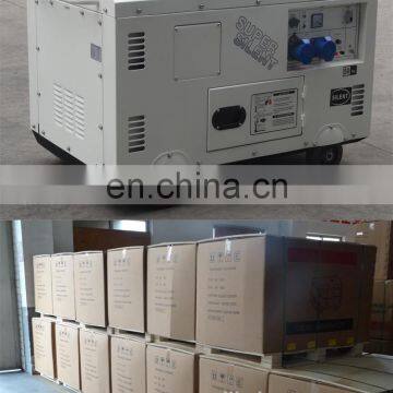 BISON China Taizhou AC Single Phase Silent Diesel Generator With AVR for Home Diesel Generator Set 10kv photo-6