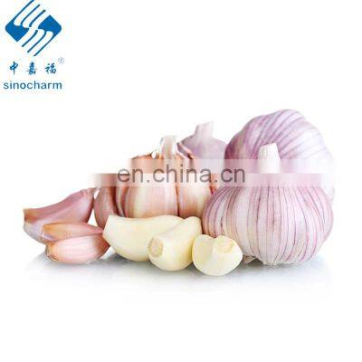 New crop 2020 Delicious Fresh garlic white peeled super garlic