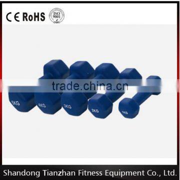 Best quality Neoprene Dumbbell for sale / TZ-3005 fitness equipment accessories