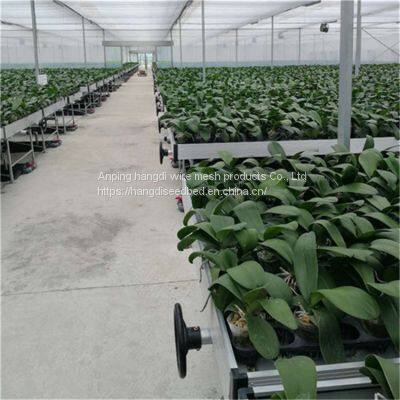 Tidal Irrigation Mobile Seedbed photo-3