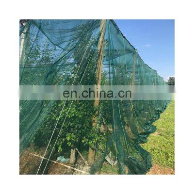 Cheap Fiberglass Insect Fly Mosquito Net Door Mesh Screen For Sale