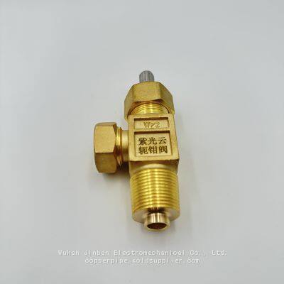SA Cl2 Valve Anti Corrosive Valve G3/4 Size
