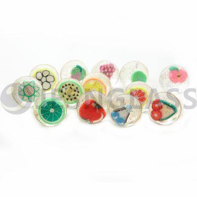Factory Wholesale Various Design 20mm 27mm 32mm 35mm 38mm 45mm 49mm 56mm 60mm 3D Fruit Bouncy Toy Rubber Balls photo-5