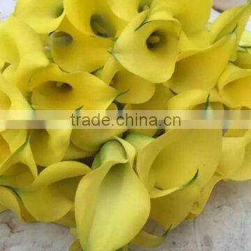 Wide variety hot-sale unique calla lily yellow