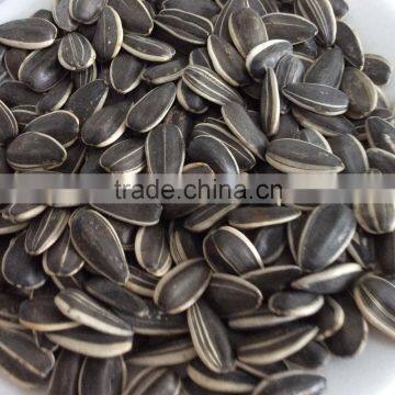 Chinese factories wholesale sunflower seeds