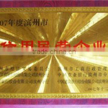 The credit business enterprises