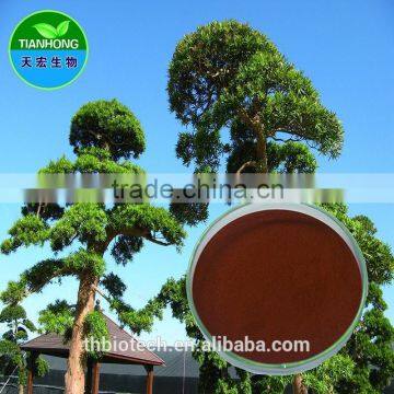 Pure Natural High Quality Pine Bark Extract, Proanthocyanidins, Polyphenols