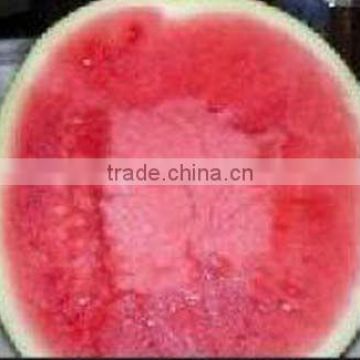 SX Round Seedless watermelon seeds