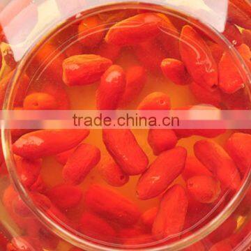 Ningxia Wolfberry(gouqi) /herbal Plant Dry Gouqi