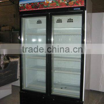 Double Glass Door Upright Freezer/ Commercial Deep Freezer