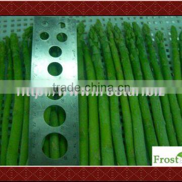 iqf green asparagus