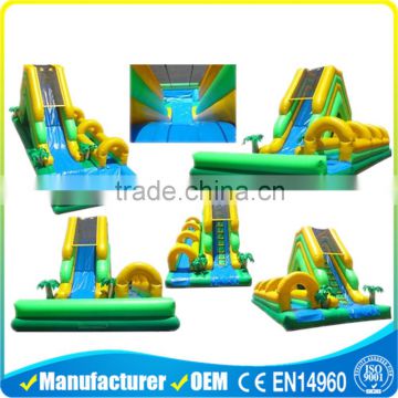 Commercial Inflatable Water Slide For Amusement Park