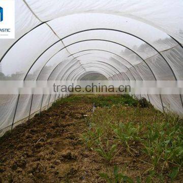 HDPE Transparent Agriculture Anti Insect Net/insect Screen, Greenhouse Insect Net photo-3