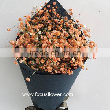 Hobby Lobby Wholesale Flowers Gypsophila Plant For Wedding Babysbreath For Sale