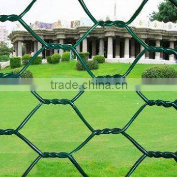 2'' green pvc coated chicken wire mesh