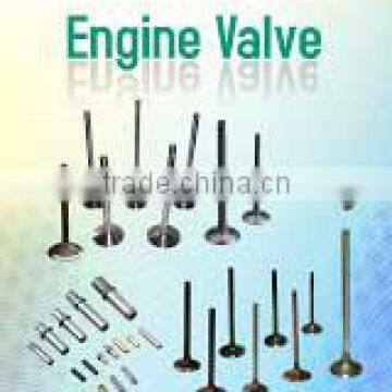 Engine Valve & Valve Guide & Valve Seat for Auto Parts