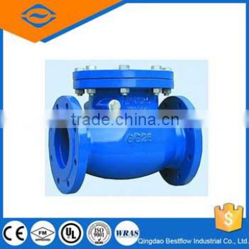 class125 flanged end swing check valve