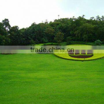 Artificial Lawn Grass Landscaping With Low Cost photo-3
