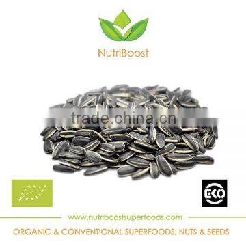 Organic Sunflower Seeds