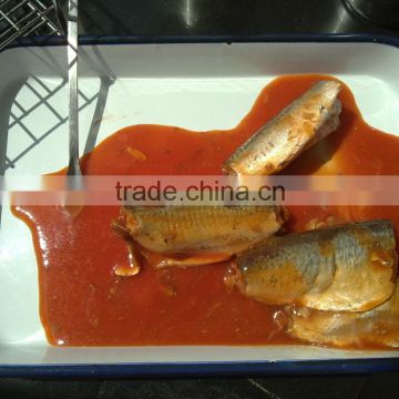 Good quality best price 425g canned mackerel fish in tomato sauce types of canned fish