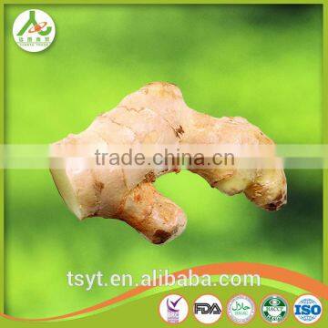 Chinese Fresh Fat Giant Big Natural Mature Ginger photo-6